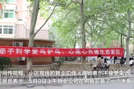 鸟屎频落车身，小区里的鸟窝到底该不该拆？图片