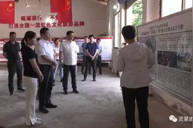 广西投资集团总经理李斌率队到我县考察文化旅游项目图片
