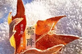 “打了一斤霜，粮食无处装”啥意思？何为“一斤霜”？下霜好吗？图片