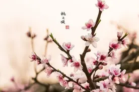 诗是韵文，不韵非诗，还要说多少遍？图片