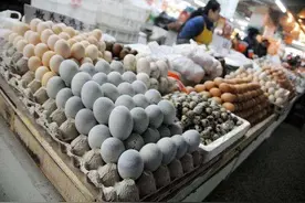 鸡蛋、鸭蛋、鹅蛋、鹌鹑蛋，哪种营养更高？医生：3种蛋尽量少吃图片