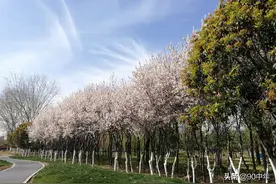 逛一逛平顶山生态园，欣赏一下我拍的美图图片