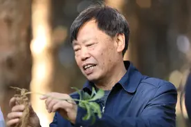 脱贫摘帽之后，“农民院士”朱有勇都在云南澜沧忙什么？图片