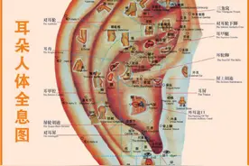 健康科普堂 | 浅谈耳穴埋籽图片