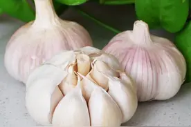 蒜头之味：没有放蒜的菜，没有灵魂图片