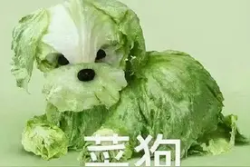 大葱面包皆可艺术，家庭主妇心目中的柴米油盐居然如此美妙图片