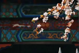 身先士卒，正己为根图片
