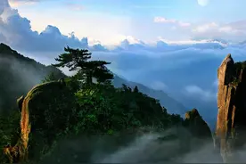 秦岭猎人中部：上门女婿残遭妻子虐待，深山打猎又遇奇葩事图片