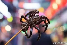 无所不吃的柬埔寨人，这次还是栽了图片