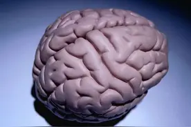 剧烈晃动的时候脑子会变成一团浆糊？图片