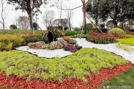 4月底！大运交通项目完工通车~图片