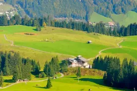 郭锐：吉林省应该借鉴国外利用观光火车带动旅游发展的成功案例图片