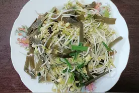 用自己泡发的豆芽，烹炒一盘豆芽炒海带，下饭特爽口图片