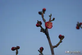 鲁西南方言杂谈-㧟图片