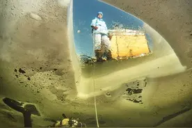 令人着迷的视觉盛宴！Scuba Diving2021水下摄影比赛获奖作品公布图片