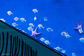 沈阳这个内陆城市，还有海洋世界看，而且是世界第一大水族馆品牌图片