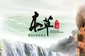 《本草中国》：一场生生不息的寻觅之旅图片