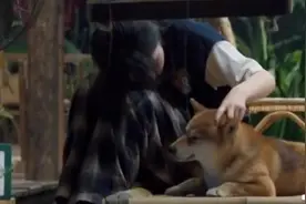 国民妹妹张子枫安慰小H的画面好治愈，妹妹人太温柔了！图片
