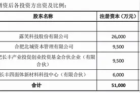 合肥露笑半导体100亿碳化硅项目再获新投资图片