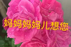 妈妈 妈妈 儿想你图片