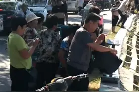 扯淡的买鱼记图片