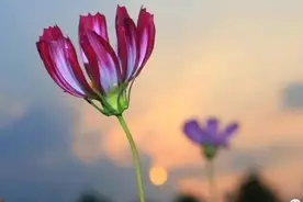 在微信里，遇见几十年不见的连长指导员，我们一起来说说心里话图片