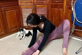 女子客厅中练瑜伽，猫咪模仿“很到位”：不送清华深造可惜了图片