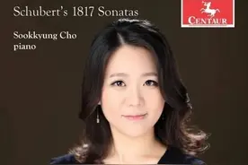 20210502「器乐」舒伯特1817年的奏鸣曲作品 (2021)(24-96)图片