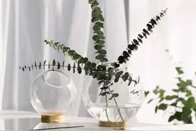 这些好看到炸裂的花瓶，淘宝就能买到图片