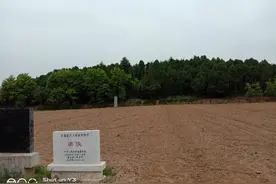 隋泰陵随想图片