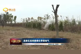 高新区高四路绿化带冒热气 咋回事？图片
