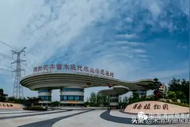 陕西渭南：满园青翠欲滴，花立方里多肉迷人，渭南植物园欢迎您图片