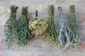 夏至到来，端午悬挂房前的艾草如何处置？5句老话知晓干艾5去处图片