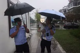 女儿也是爸爸的心头肉：2岁女儿走失半小时，奔溃爸爸放声大哭！图片