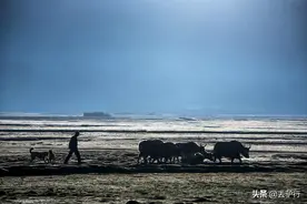 上海到北京高铁4个小时，丽江到虎跳峡直达，为何旅行越来越没趣图片