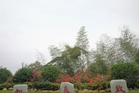 《溯史行吟》——崇义大山里，三层楼高的王阳明平茶寮碑图片