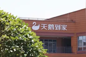 天鹅到家，还是 "天讹"到家？图片