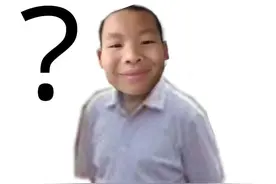 高清ins风｜表情包大帝头像图片