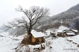 故事：死于雪天里的老人图片