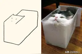 画中的猫和现实中的猫的区别图片