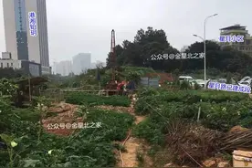 超级重磅！长沙北三环附近！长赣高铁启动勘探图片