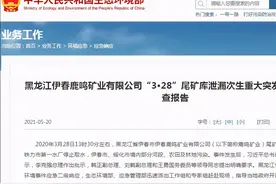 黑龙江鹿鸣矿业“3·28”尾矿库泄漏事件起因调查结果：工程不合格图片