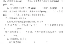 五年级下册语文试卷丨第一次月考：一二单元综合测试图片
