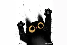 炸毛的黑猫咪（萌宠漫画）图片