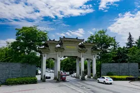 慵懒假期时光 ，友爱不得不去图片