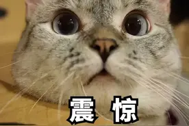 5岁姐姐曾被查出有100多颗结石，1岁妹妹竟也发现……医生说：基因突变图片