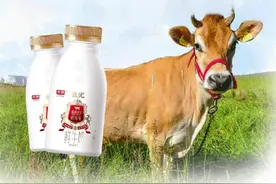 中国人现在能喝的牛奶，到底哪些品牌是真正的好牛奶？图片