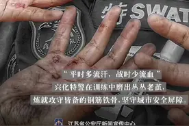 就是这双手！图片