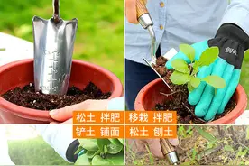 想要变身阳台种菜大师？这些必备工具和神器你值得拥有图片