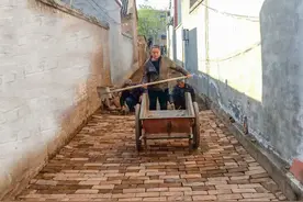 超赞！肥乡这村用3天时间修好全部小街巷！图片
